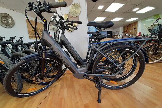 2h E-bike tours+1day extra in Malaga - Key Points