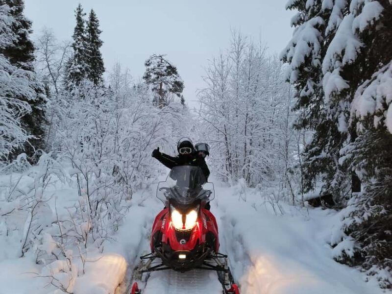 2h private snowmobile experience in Rovaniemi's forest - What to Expect from the Snowmobile Adventure in Rovaniemi