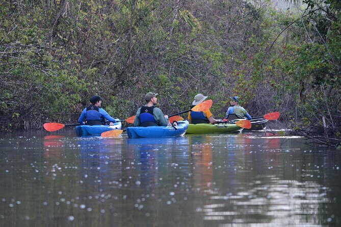 2Hour Everglades Kayak Safari Adventure Through Mangrove Tunnels - Introduction to the Kayak Safari