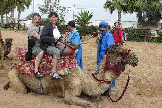 2Hours DE Quad + Comedy EN Tour and Crocoparc Tour - Breaking Down the Tour Experience