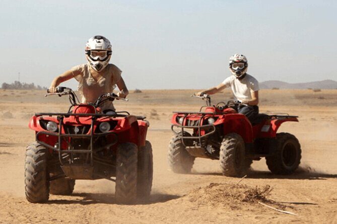 2Hours DE Quad + Comedy EN Tour and Crocoparc Tour - Who Will Enjoy This Tour?