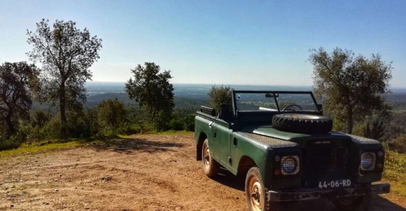 2hr Cork Safari in a Classical Land Rover - Is This Tour Right for You?