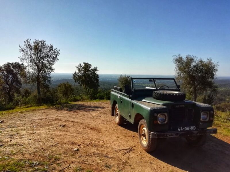2hr Cork Safari in a Classical Land Rover - Final Thoughts