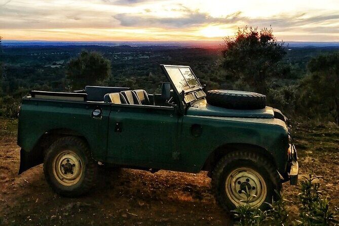 2hr Cork Safari in a Classical Land Rover - Exploring the 2hr Cork Safari in a Classical Land Rover: A Genuine Guide