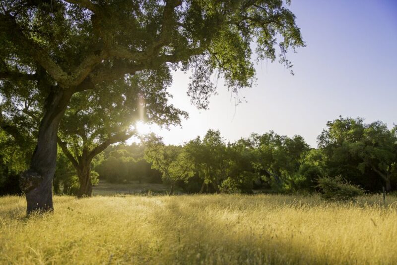 2hr Cork Tour in a Jeep - Practical Details and Value