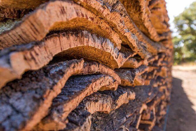 2hr Walk in a Cork Forest - FAQ