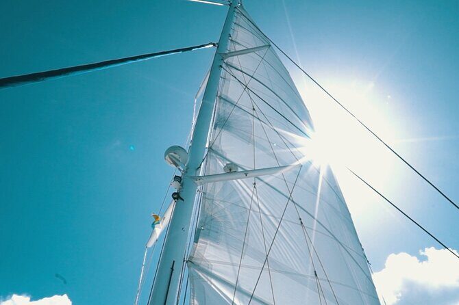 2hrs Dolphins Sunset Sailing Cruise With Drink - Key Points