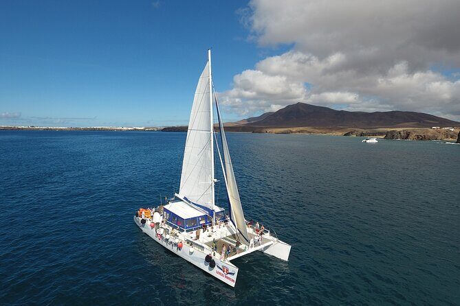 2hrs Dolphins Sunset Sailing Cruise With Drink - Practical Tips