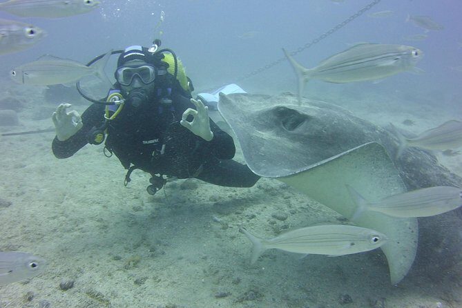 2x diving package, on request including refreshment - The Sum Up: Is This Tour Right for You?