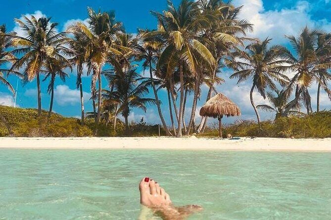 2x1 Tour: Isla Contoy, Isla Mujeres, Open Bar, Lunch and Transfers - Who Is This Tour Best For?