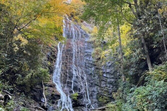3 - 3.5 HR Smoky Mtn. Cherokee Eco Elk Safari Jeep Adventure - Who Will Love This Tour?