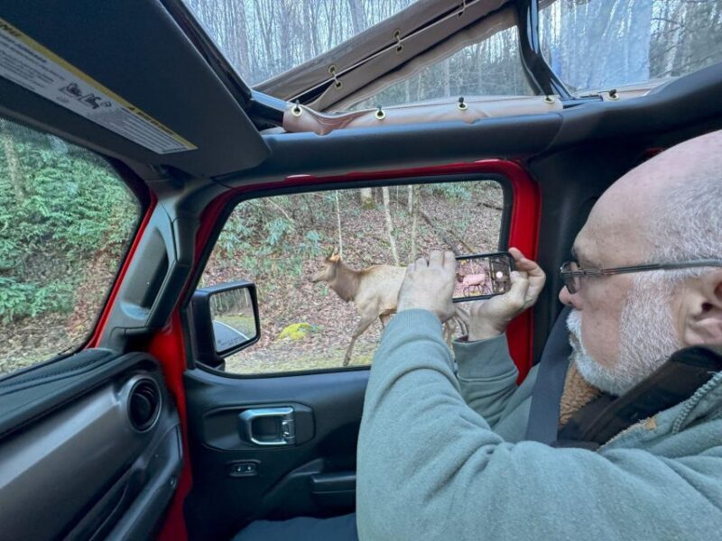 3.5-4 HR. Guided Safari Jeep Eco Waterfall Adventure - Practical Details: What to Expect and What to Bring