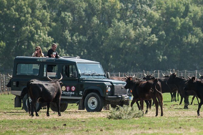 3.5 Hour Camargue 4x4 Safari from Le Grau-du Roi - Frequently Asked Questions About This Tour