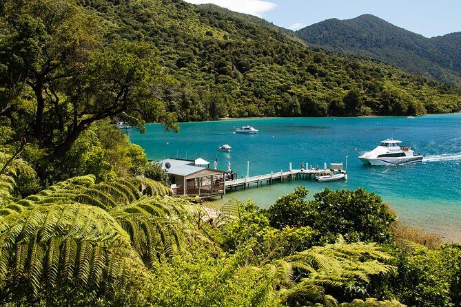 3.5 Hour Marlborough Sounds Delivery Cruise - The Experience on Board