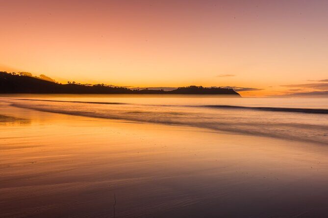 3.5 hour Sunset Tour on Waiheke Island - The Sum Up: Who Should Consider This Tour?