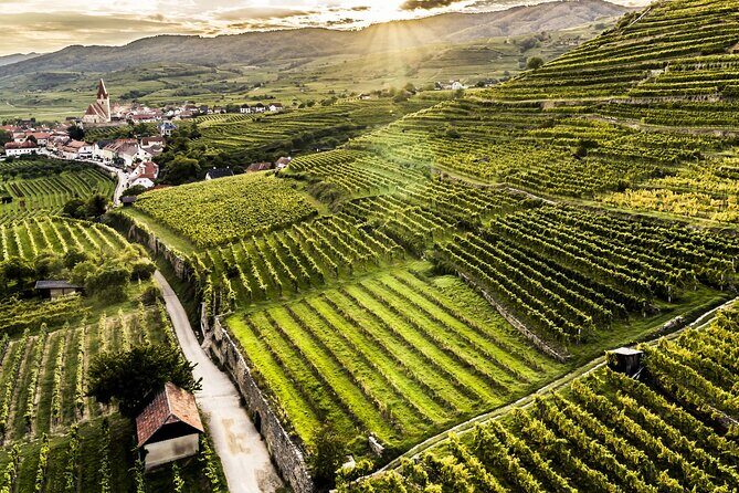 3 Castles and Wine Private Day Trip in Danube Valley from Vienna - Final Thoughts: Who Is This Tour Best For?