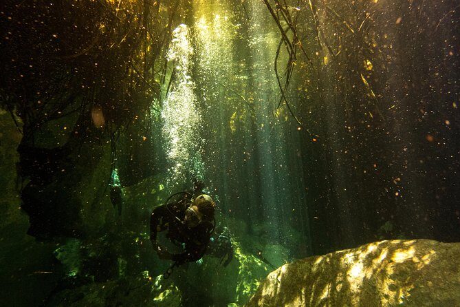 3 Cenote Dives - Casa & Dos Ojos - Who Is This Tour Best For?