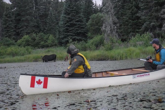 3 Day Algonquin Park Canoe Trip - Moose & Beaver Safari - Key Points