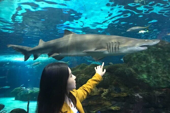 3 Day and 2 Night Tour: Toronto, 1000 Islands, and Niagara Falls - Exploring the 3-Day, 2-Night Toronto, 1000 Islands, and Niagara Falls Tour