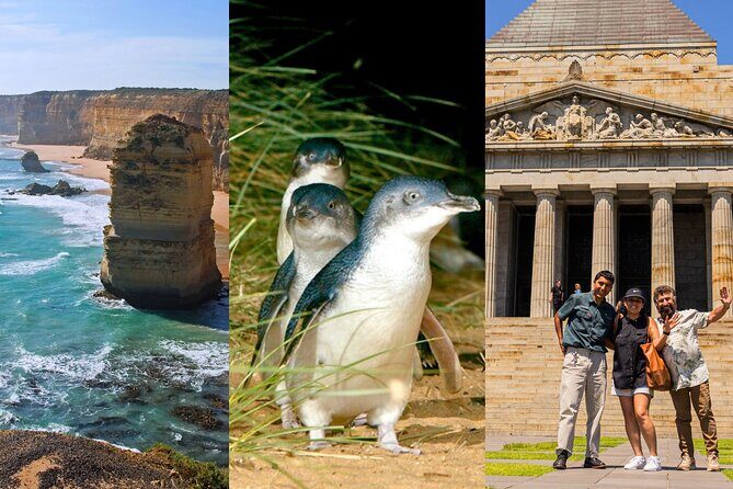 3 Day Combo: Great Ocean Road, Penguin Parade and FREE City Tour - Key Points