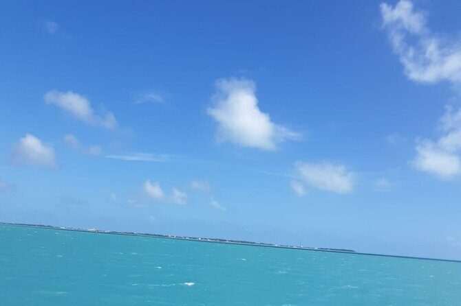 3-Day Miami Beach with Miami Bus/Boat Tour, Everglades and Keywest boat Tour - A Day-by-Day Breakdown of the Tour