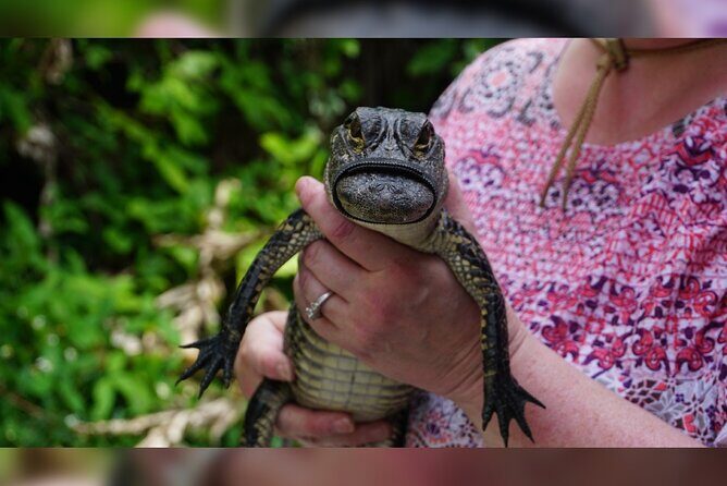 3-Day Miami Beach with Miami Bus/Boat Tour, Everglades and Keywest boat Tour - Final Thoughts