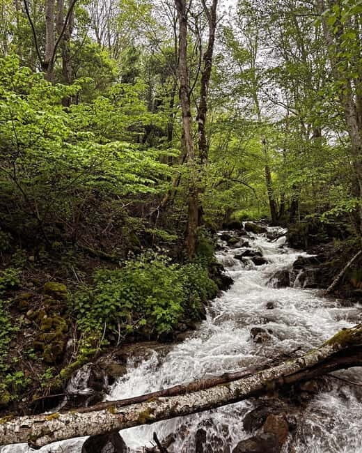 3-Day Monastery Tour: Rila, Bachkovo & Rozhen from Sofia - Final thoughts: Is this tour right for you?