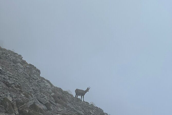 3-Day Olympus Hiking Adventure - Introduction