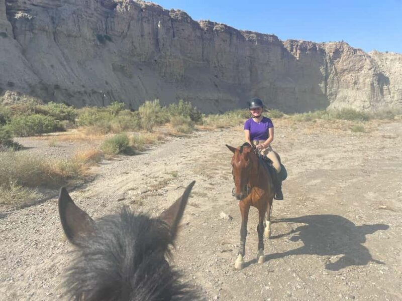 3-day pack: Horseback adventure in the Tabernas Desert - What to Expect and What Not to Expect