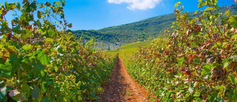 3-Day Private Tour Best of Peloponnese: Sparta & Monemvasia - Who Should Consider This Tour?