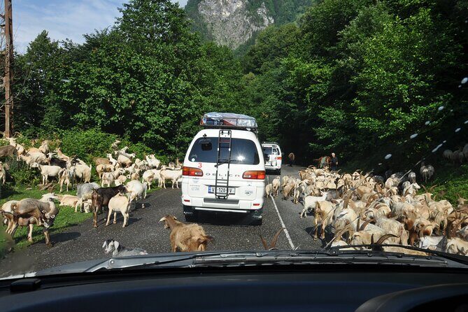 3-Day Svaneti Hiking Tour - Key Points