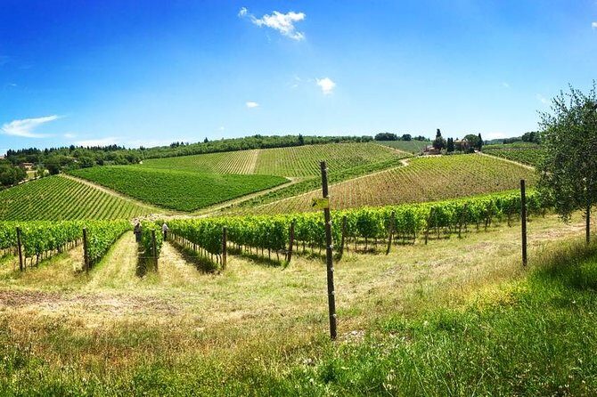 3-Day Tuscany Wine Tour Experience from Florence - What’s Included and How It Works