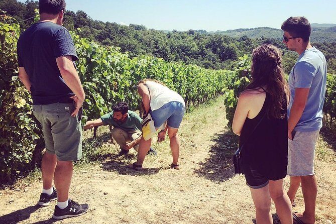 3-Day Tuscany Wine Tour Experience from Florence - Day 3: Montepulciano & Val DOrcia