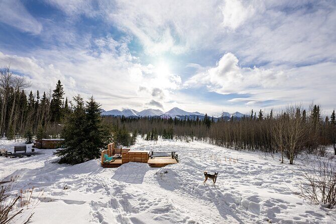 3-day Yukon Northern Lights Adventure - The Reality of the Experience