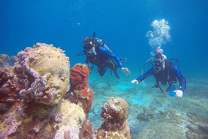 3 Days Class: SDI Open Water Diver Certification in Cancun - What Is the Experience Like?