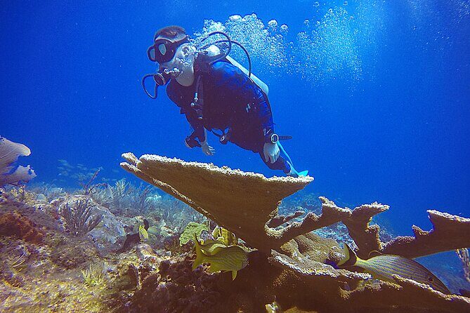 3 Days Class: SDI Open Water Diver Certification in Cancun - FAQ