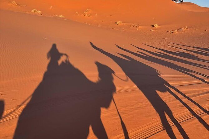 3 Days Desert Tour From Marrakech To Merzouga Dunes & Camel Trek - Who Is This Tour Best Suited For?
