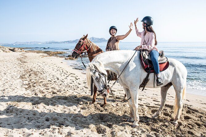 3-Hour Beach Horse Riding to Discover the Beauty of Alcudia Bay - The Pros and Cons