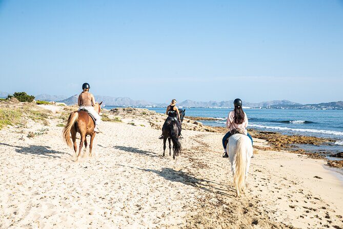 3-Hour Beach Horse Riding to Discover the Beauty of Alcudia Bay - Who Is This Tour Best For?