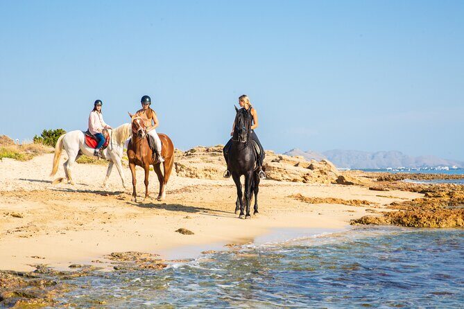 3-Hour Beach Horse Riding to Discover the Beauty of Alcudia Bay - Final Thoughts