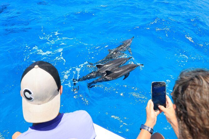 3 Hour Big Island Dolphin Watch Boat Tour, Snorkeling & BBQ Lunch - FAQ