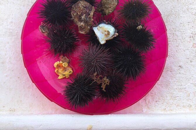 3-hour boat tour - The Highlights of the Itinerary