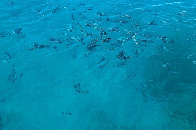 3-hour boat tour - Who Would Enjoy This Tour?