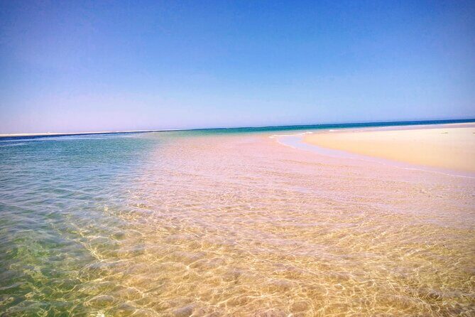 3 Hour Boat Tour in Ria Formosa - What to Expect from the Ria Formosa Boat Tour