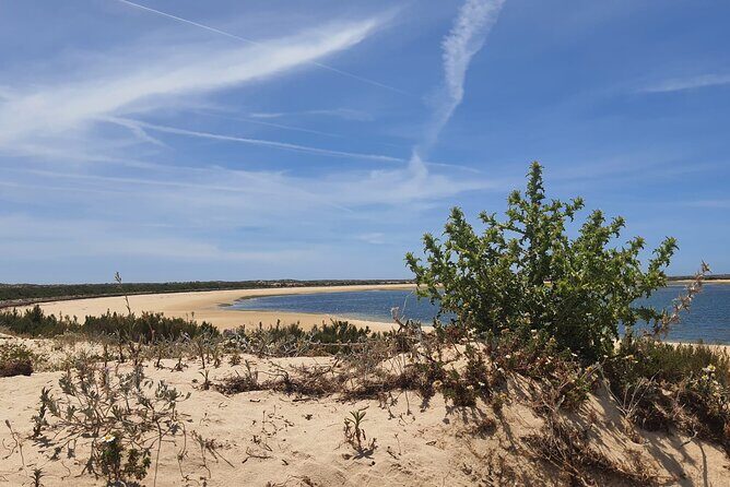 3 Hour Boat Tour in Ria Formosa - Is This Tour Right for You?