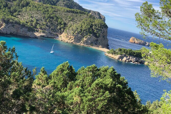 3 Hour Boat Trip to Ponta da Piedade - Frequently Asked Questions (FAQs)