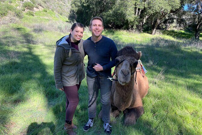 3 Hour Camel Trek into the Forest and Ranch in California - Analyzing the Value: Is It Worth the Price?