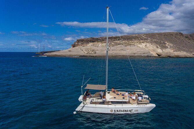 3-hour catamaran excursion along the Costa Adeje - The Price and Overall Value