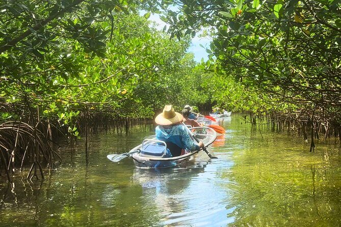 3-Hour Clear Kayak Beach Hopping Adventure in Sarasota - Discovering Sarasota’s Waterways in a Transparent Kayak