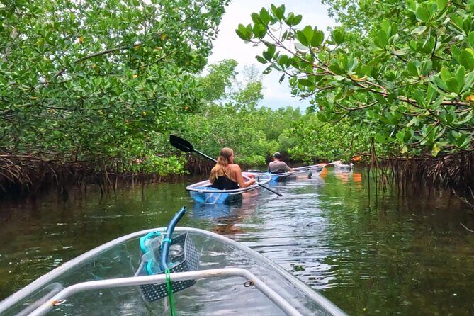 3-Hour Clear Kayak Beach Hopping Adventure in Sarasota - Final Thoughts: Is This Tour for You?